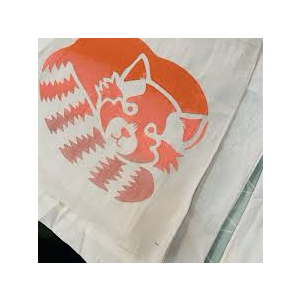 Workshop - Intro to Screen Printing with artist Caroline Coates