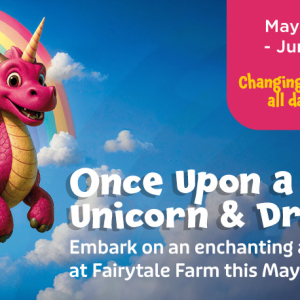 Once Upon a Unicorn and Dragon