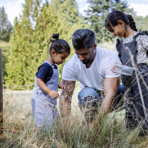 Summer Holidays – The Great Woodland Adventure
