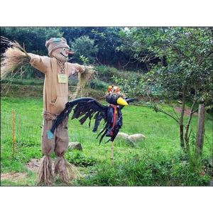 Torteval Scarecrow Festival