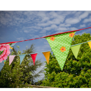 Richards Plants   This year is our 20th Birthday 
