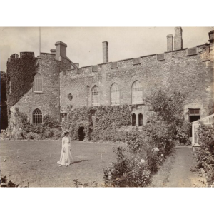 The Ark of History:  Taunton Castle and Museum