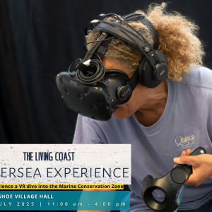 The Living Coast Undersea Experience: Piddinghoe