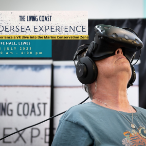 The Living Coast Undersea Experience: Lewes