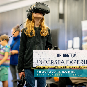 The Living Coast Undersea Experience: Newhaven