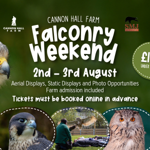 Falconry at Cannon Hall Farm