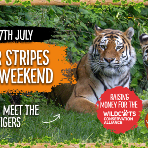 Save Our Stripes Charity Weekend 26th - 27th July