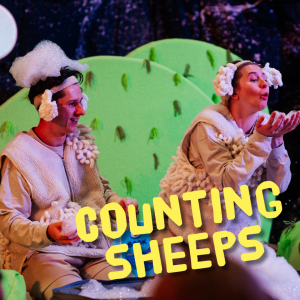 Counting Sheeps