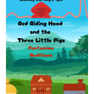 PANTO AUDITIONS