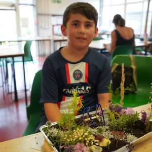 Design and Make a Miniature Garden