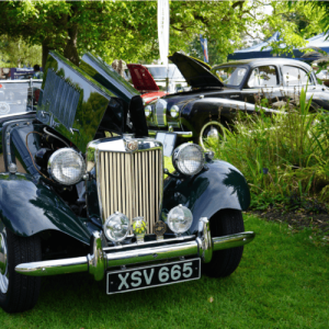 Classic and Vintage Car Show 2025 (Visitor admission)