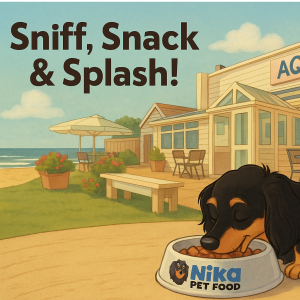Sniff, Snack & Splash!