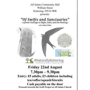 'Of swifts and sanctuaries'