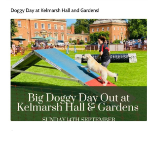Doggy Day at Kelmarsh Hall & Gardens 