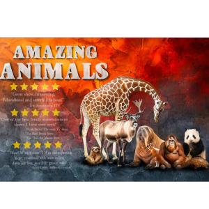 Amazing Animals