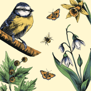 Birds, Bugs and Botanicals of the Bluecoat: A Blue Room Exhibition