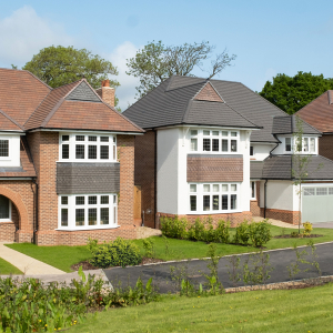 Get the scoop! Oxfordshire housebuilder to host ice cream social