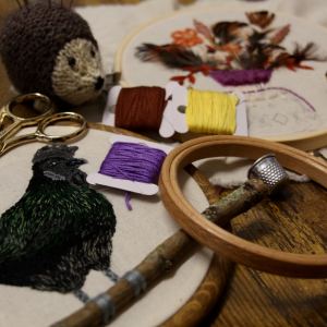 Cosy Craft Autumn - Beginners Embroidery