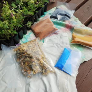 Cosy Crafting Autumn - Natural Dye Workshop