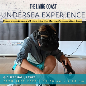 The Living Coast Undersea Experience at Cliffe Hall, Lewes