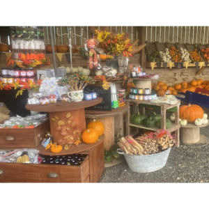 Le Hechet Farm Pumpkins