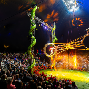 Big Kid Circus returns to Xscape Yorkshire with the brand-new show Kingdom of Kong