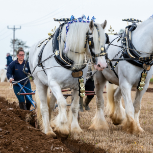 British National Ploughing Championships & Country Festival