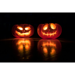 Halloween Fun & Skeleton Hunt at The Darwin, Shrewsbury