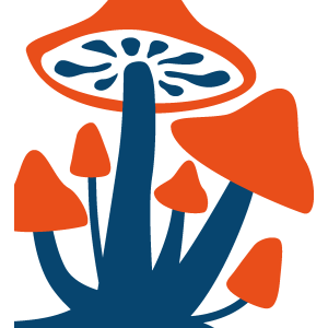 Familiar Fungi for First-Timers