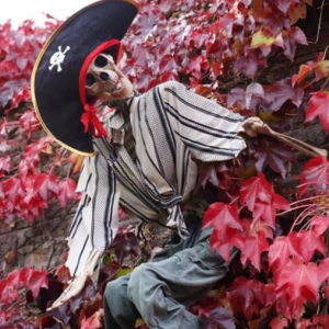 Halloween Ghostly Gardens Trail 