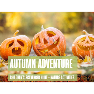 Autumn Adventure