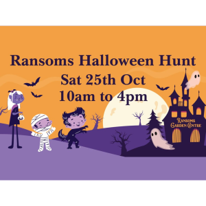 Ransoms Halloween Hunt