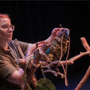 The Zoo That Comes To You