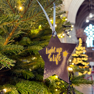 Hospiscare's Light Up A Life At Exeter Cathedral