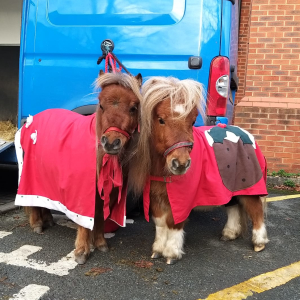 Acorns Childrens Hospice Christmas Fete