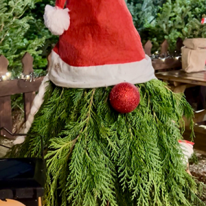 Festive Gnome-Making Experience