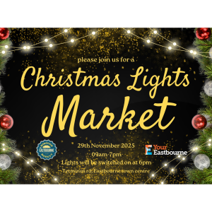 Christmas Lights Market 
