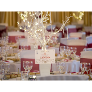 Festive Chef's Choice Menu at The OGH