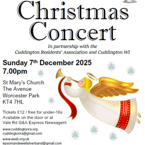 Epsom and Ewell Silver Band Christmas Concert