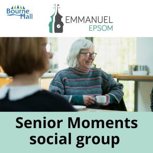 Senior Moments Social Group at Bourne Hall