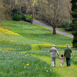 February Half-Term at Waddesdon Manor