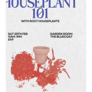 ROOT Houseplants: Houseplant 101