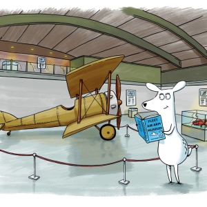 Luna the Globetrotter at the Fleet Air Arm Museum