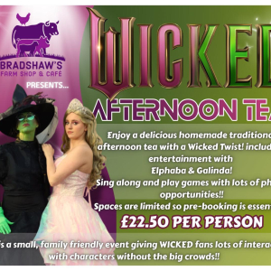 🩷🖤💚 WICKED Themed Afternoon Tea at Bradshaw’s Farm Shop & Café 💚🖤🩷