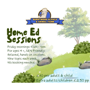 Burntwood Alpaca & Animal Farm Home Ed Sessions!