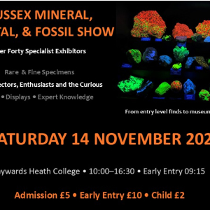 Sussex Mineral, Crystal & Fossil Show 