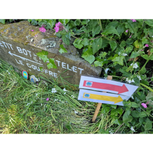 Fairies in the Forest