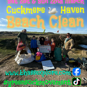 Beach Clean