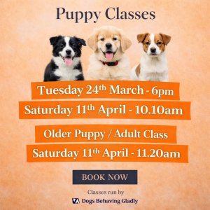 Puppy Classes at The Empawrium! ✨🐾
