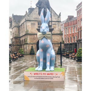 Shrewsbury Spring Celebration Trail 2026